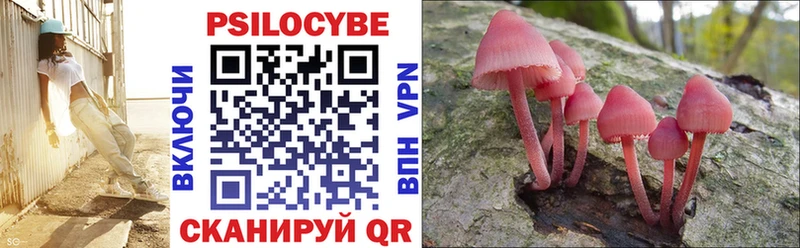 Галлюциногенные грибы MAGIC MUSHROOMS  Купить закладки  Вилючинск 